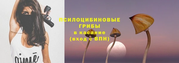 гидра Баксан