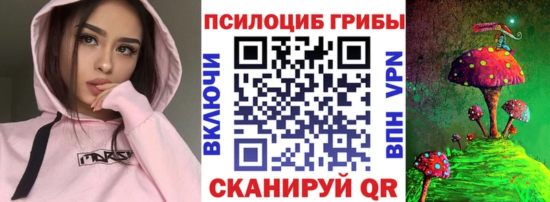 купить наркотики сайты  Вяземский  mega рабочий сайт  Галлюциногенные грибы GOLDEN TEACHER 